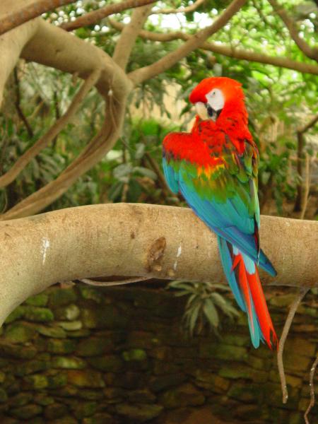 zoo